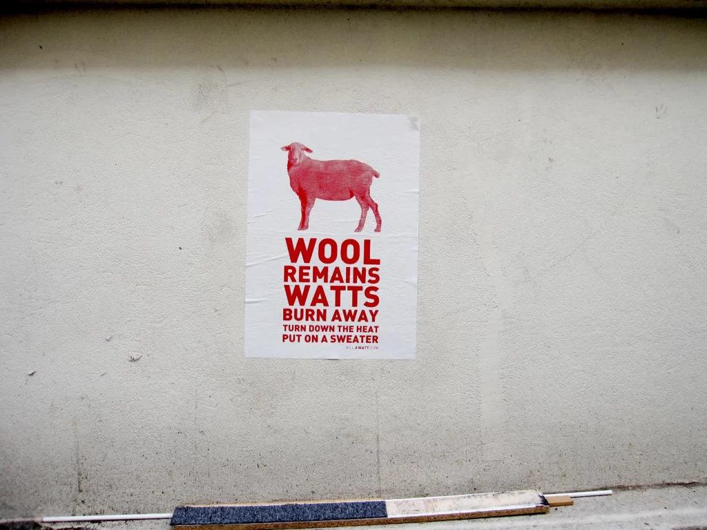 wool IMG_0053